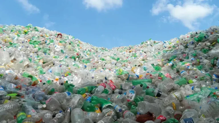 a pile of plastic bottles being sorted for recycling